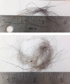 Hair3